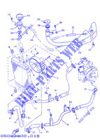 RADIATOR / HOSES for Yamaha YP125E 1998