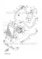 RADIATOR / HOSES for Yamaha XQ150 2002