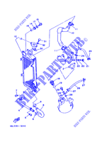 RADIATOR / HOSES for Yamaha DT125R 1999