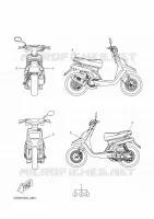 STICKER for Yamaha CW50 2010