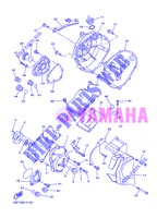COVER   ENGINE 1 for Yamaha FZ8S 2013