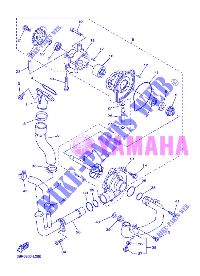 WATERPUMP / HOSES for Yamaha FZ8S 2013