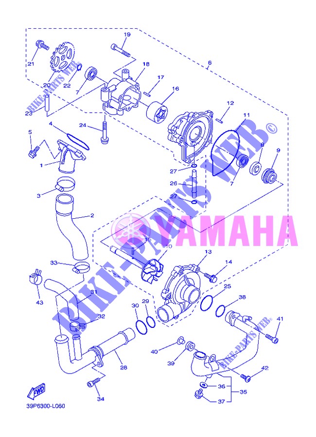 WATERPUMP / HOSES for Yamaha FZ8SA 2013