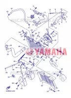 RADIATOR / HOSES for Yamaha XJ6N 2013