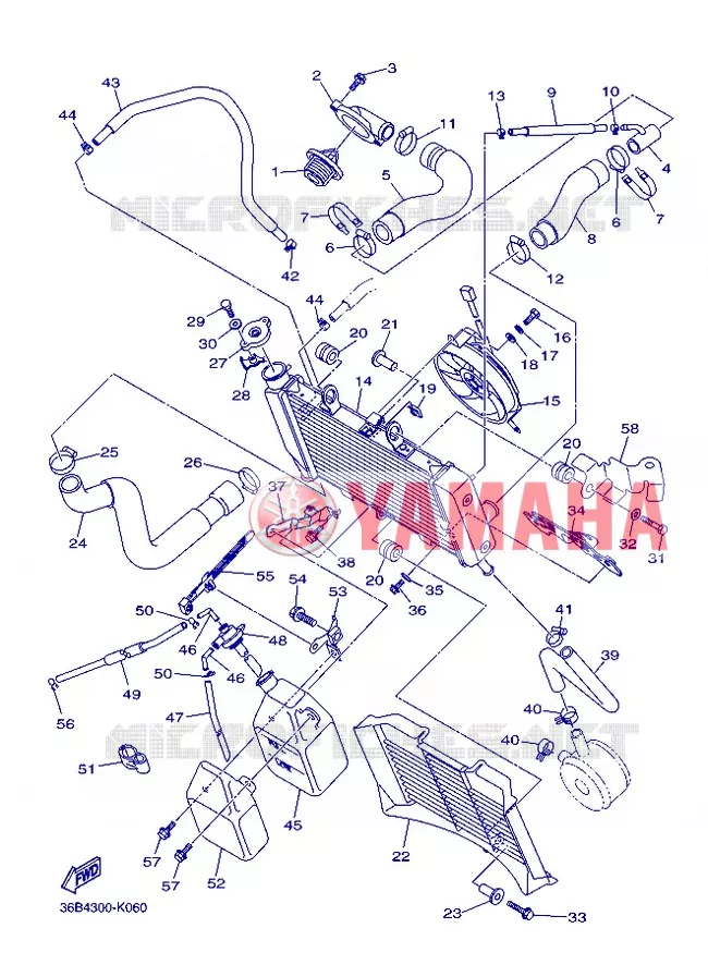 RADIATOR / HOSES Yamaha MOTO 600 2013 XJ6 ABS  XJ6NA