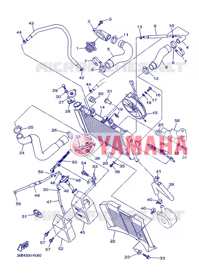 RADIATOR / HOSES Yamaha MOTO 600 2013 XJ6 ABS  XJ6NA