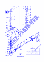 LOWER CASING & DRIVE 3 for Yamaha E40G Manual Starter, Tiller Handle, Manual Tilt, Pre-Mixing, Shaft 20