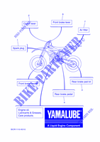 MAINTENANCE PARTS for Yamaha YZ 250 MONSTER ENERGY YAMAHA RACING EDITION 2022