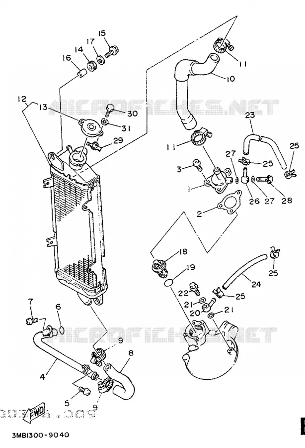 RADIATOR / HOSES Yamaha MOTO 125 1989 DTE  DT125E