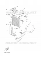 RADIATOR / HOSES for Yamaha YQ50 2008