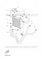 RADIATOR / HOSES for Yamaha YQ50 2003
